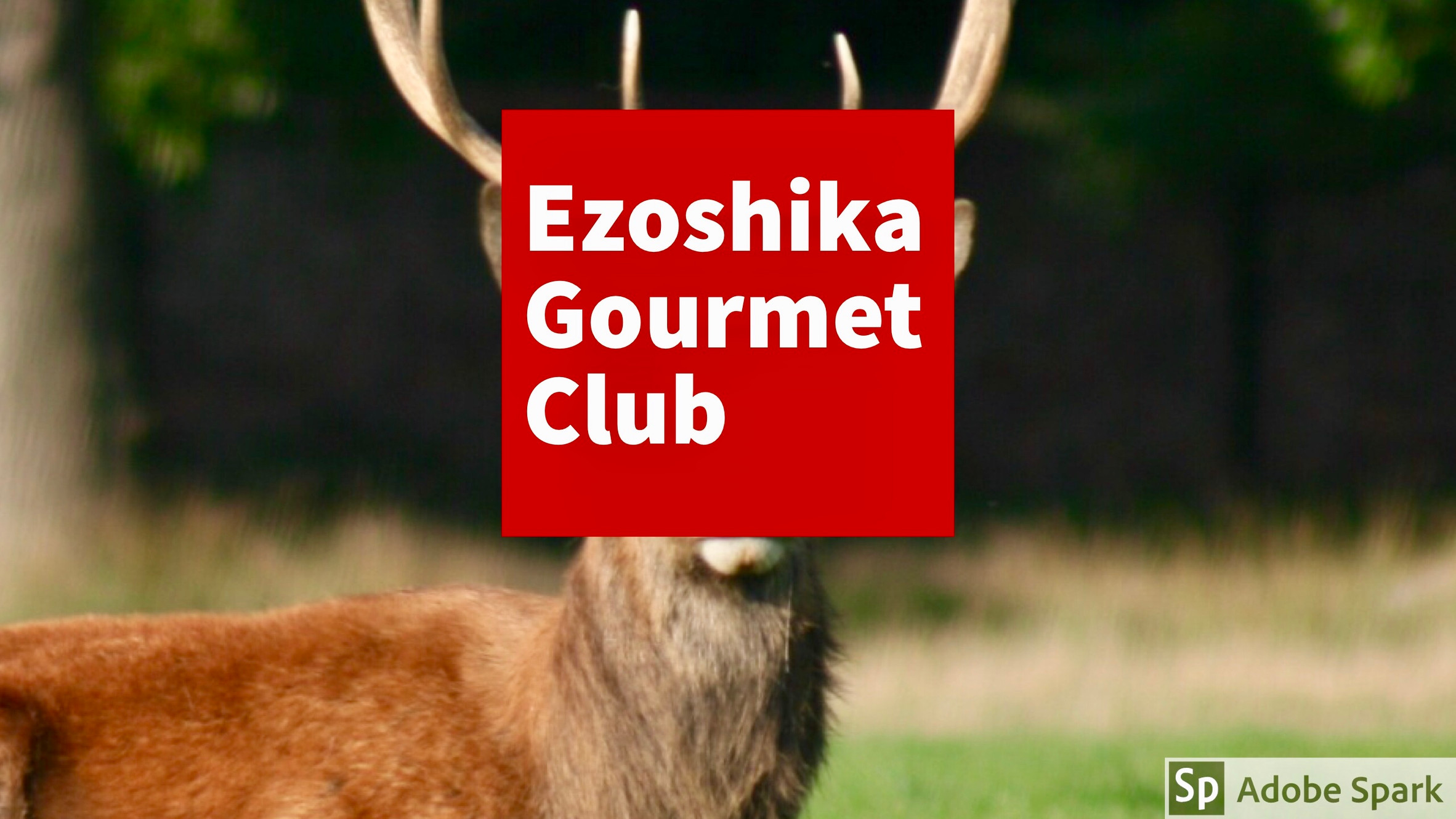 モミジノススメ Ezoshika Gourmet Club