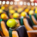 Firefly Coaching in a theater room full of light and audience in yellow and green dresses