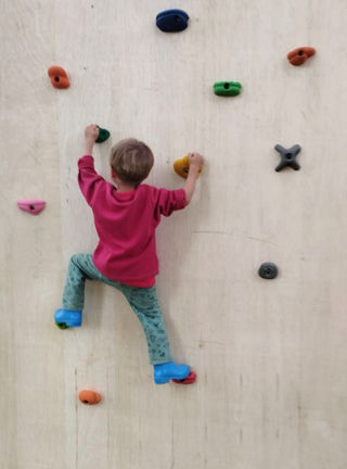 Harmonia Verde Projeto Arvorismo parquinho casa na árvore