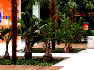 Harmonia Verde Projeto Paisagismo Shopping São Paulo