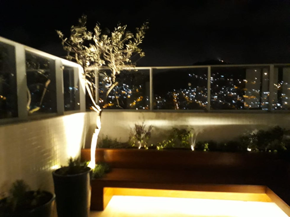 Harmonia Verde Projeto iluminação externa