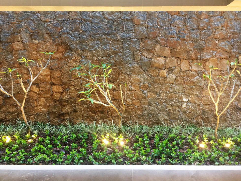 Harmonia Verde Projeto de Paisagismo empreendimento Florianópolis