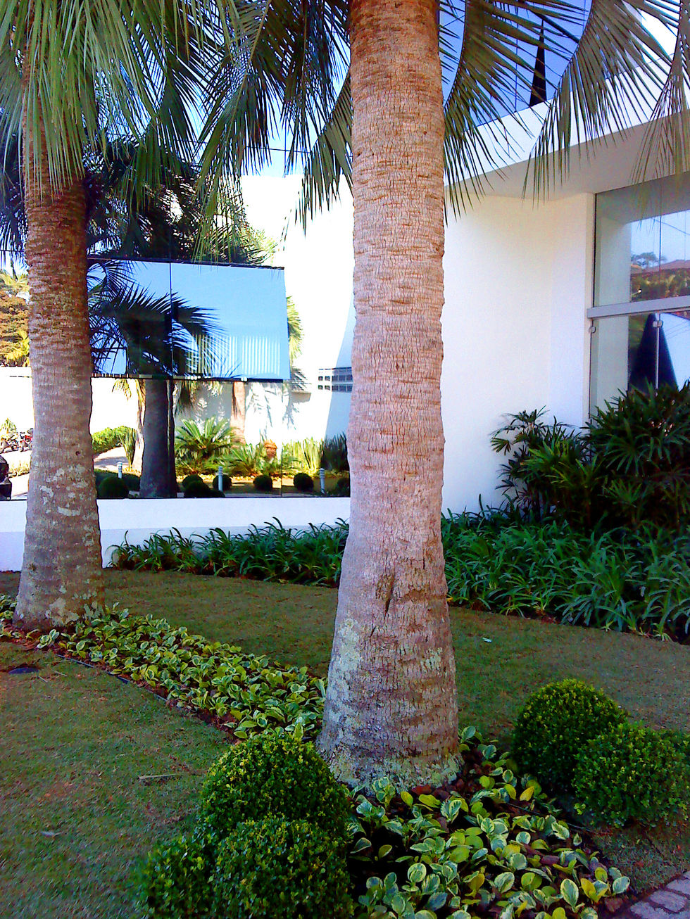 Harmonia Verde Projeto Paisagismo Santa Catarina