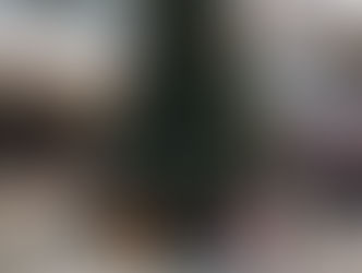 크리스마스 분위기 물씬..“연말 특수를 노려라”