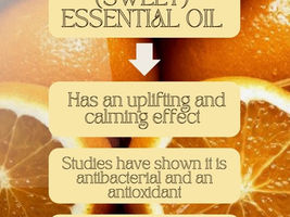 Orange (Sweet) Citrus sinensis "The Sunshine Oil"