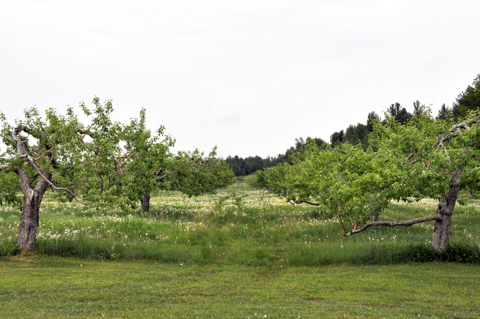 DSC_0410.jpeg