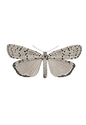55.png