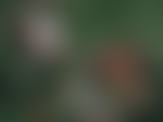 Es ist soweit! - Ab ins neue Studio