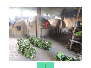 Zacahuil, el tamal supremo.