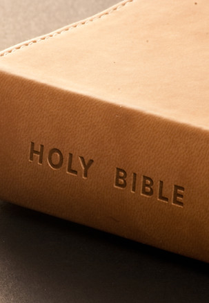 The Holy Bible