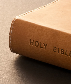 Holy bible detail