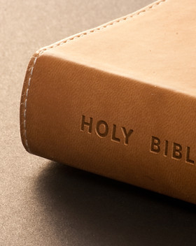 Bible preaching