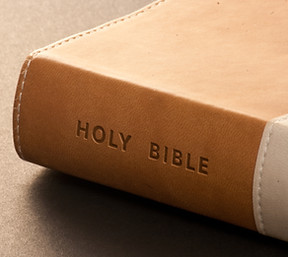 Holy bible detail