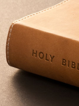 Holy Bible