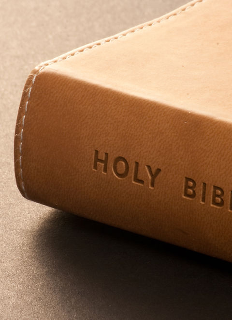 Holy bible detail