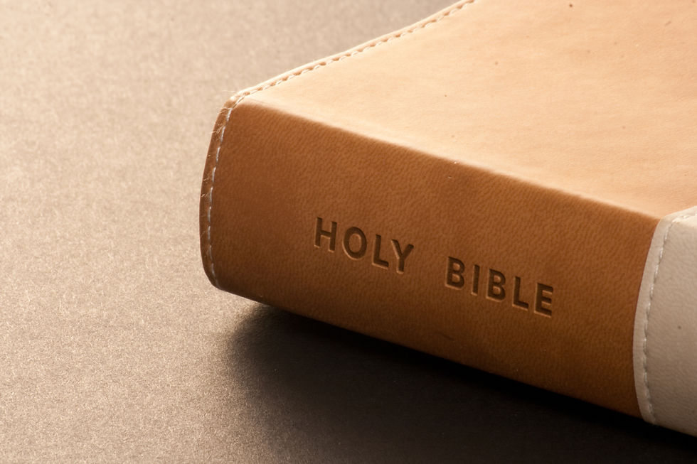 Biblia encuadernada en cuero