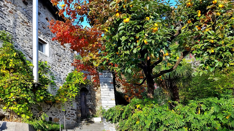 Weg zum Monte Verita_corr.jpg