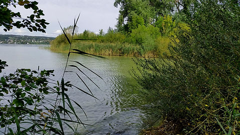 Insel Ufenau_corr.jpg