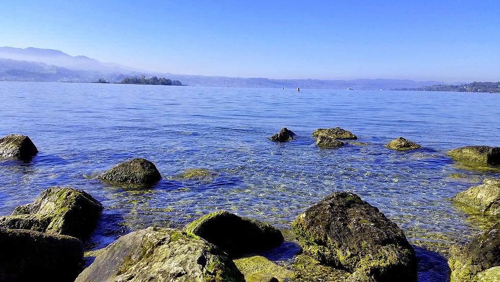 Insel Lützelau und Ufenau von Rappi_corr.jpg