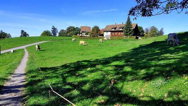 Maienberg_corr.jpg