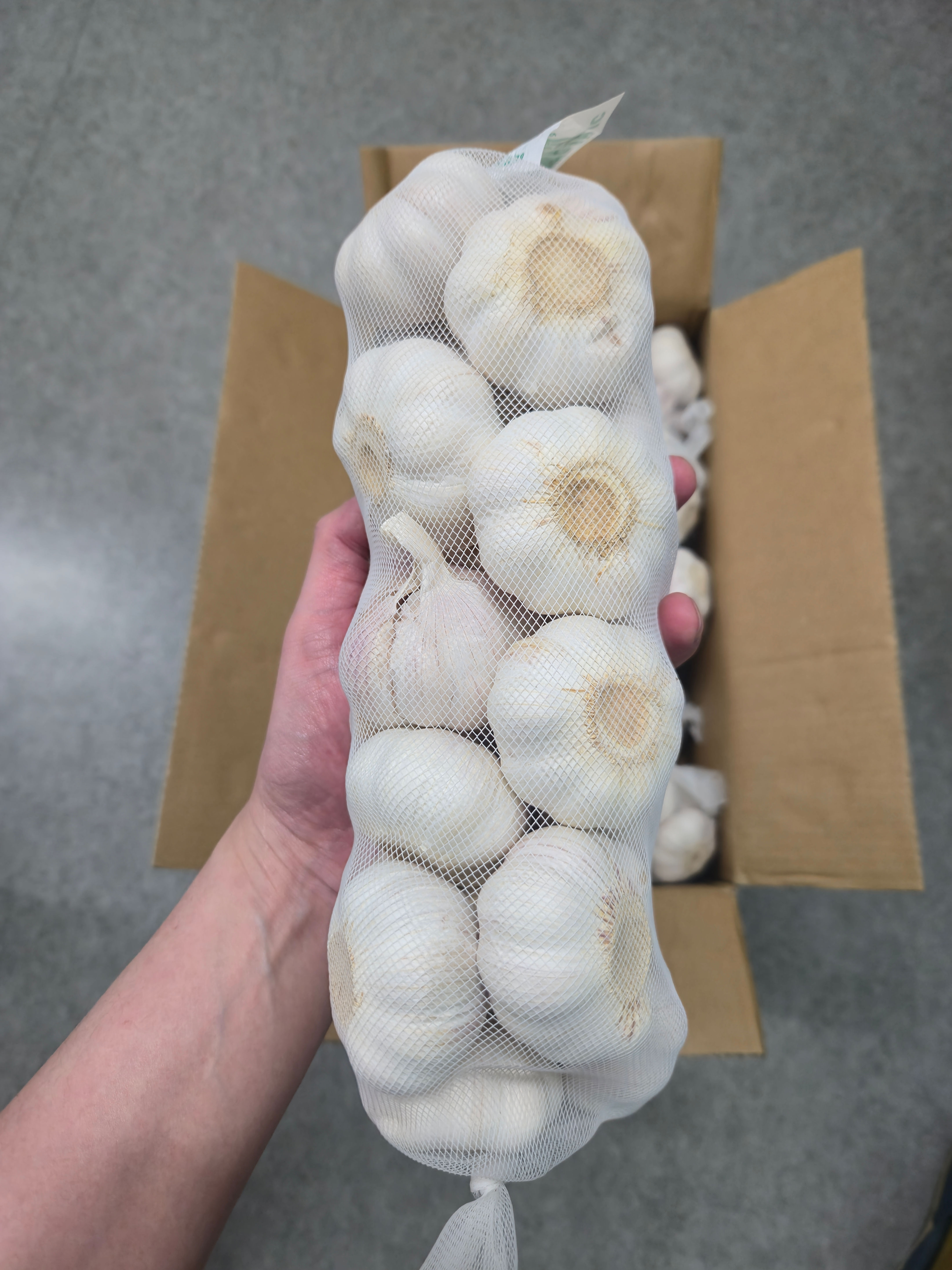 Fresh Garlic 1 net 950g 中国産