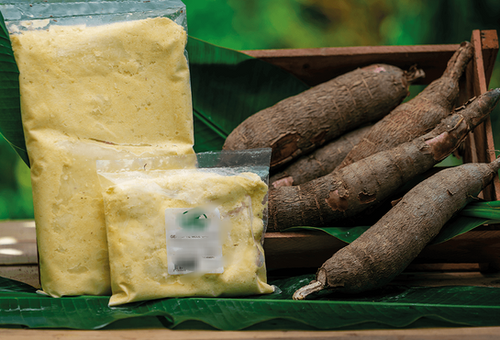 Cassava 20kg 送料込み Grated Yellow Cassava 1kg 日本産 すりおろしキャッサバ | Chris Mart