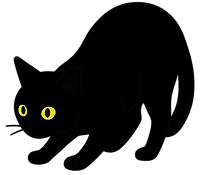 cat3.png