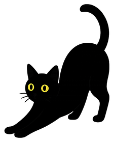 cat2.png