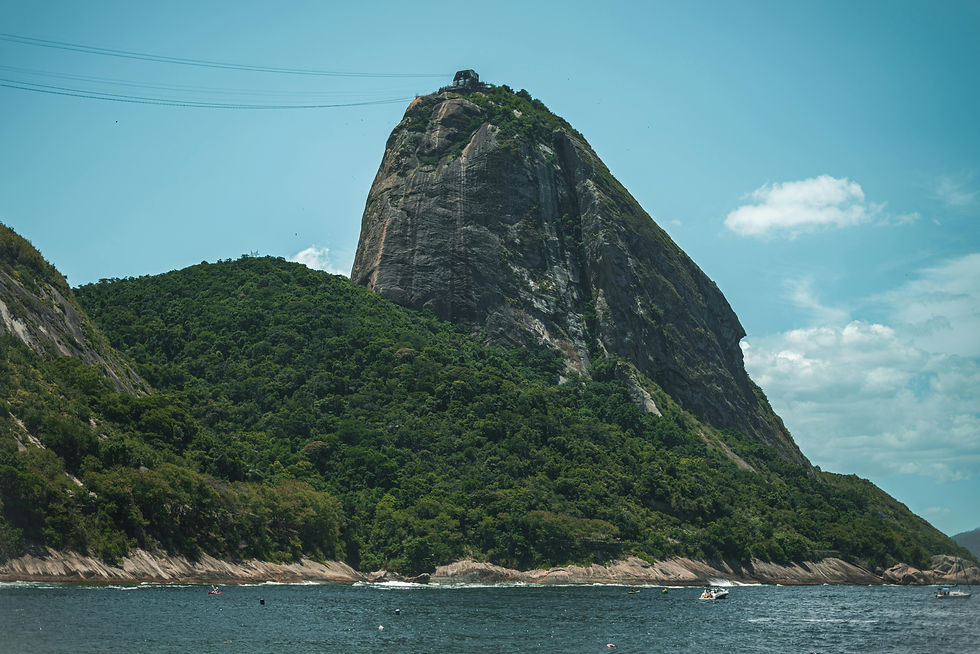 pexels-brunoscramgnon-30540841 (1).jpg