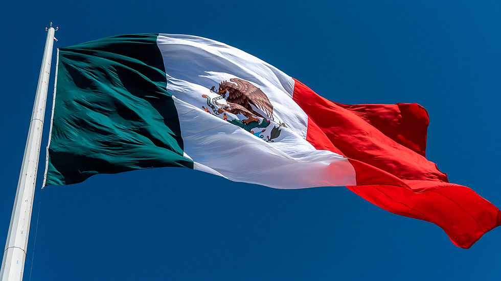 bandera 4.jpg