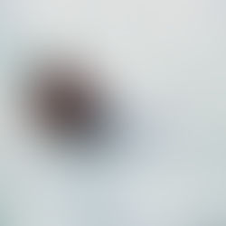 H Ρωσία ελέγχει πλέον την Αρκτική, ανύπαρκτες οι ΗΠΑ!