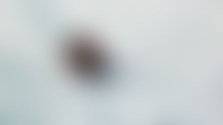 H Ρωσία ελέγχει πλέον την Αρκτική, ανύπαρκτες οι ΗΠΑ!