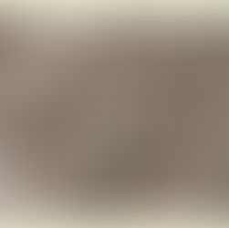 Περσία: Ένα μεγάλο ιστορικό "παράδοξο"