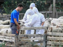 Προς τεχνητή επισιτιστική κρίση!