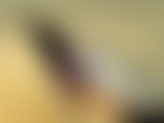 Φτάνει πια με τον πιθηκισμό! Σώστε τη γλώσσα μας!