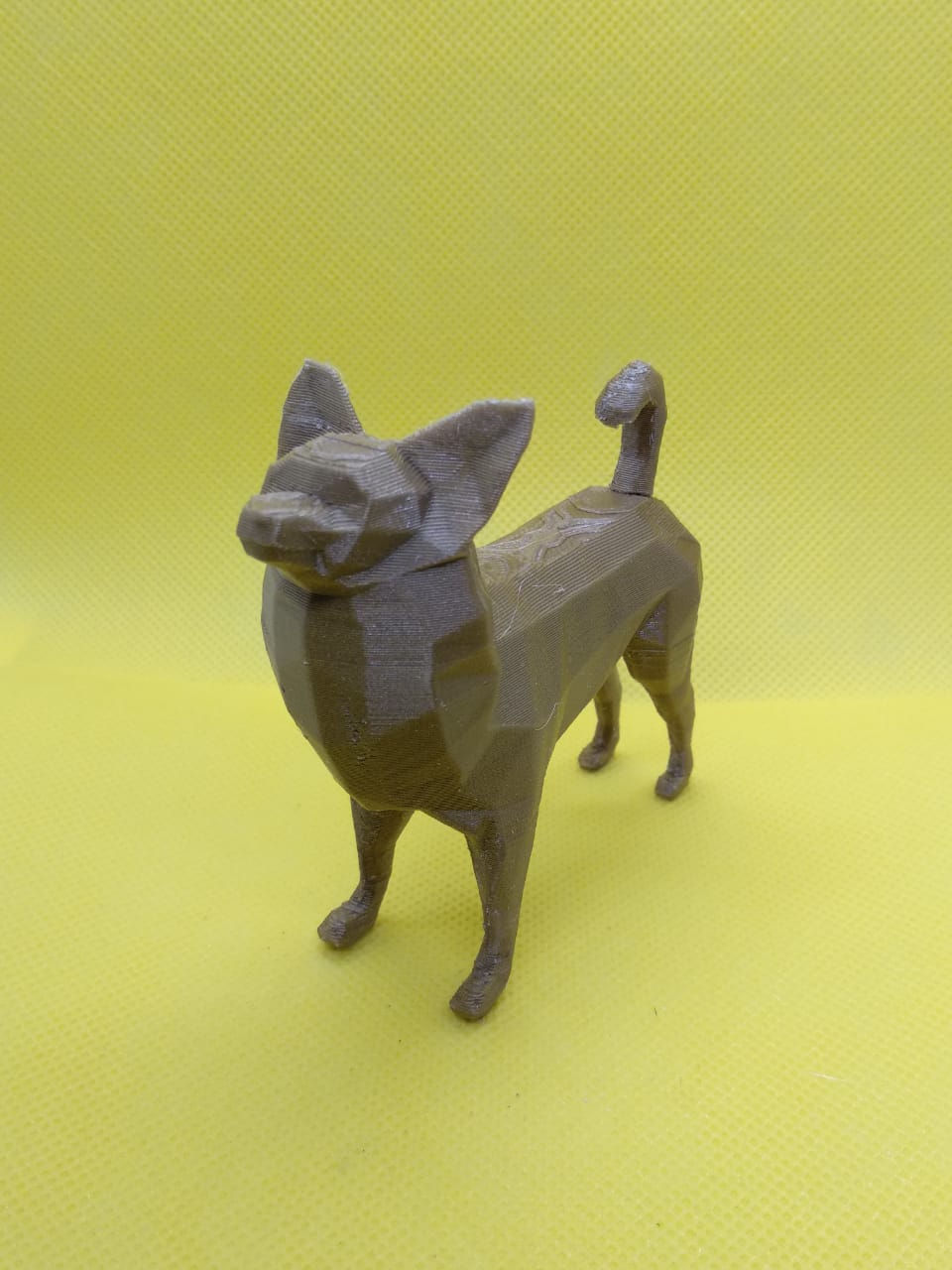 Miniatura: Papillon - Low Poly