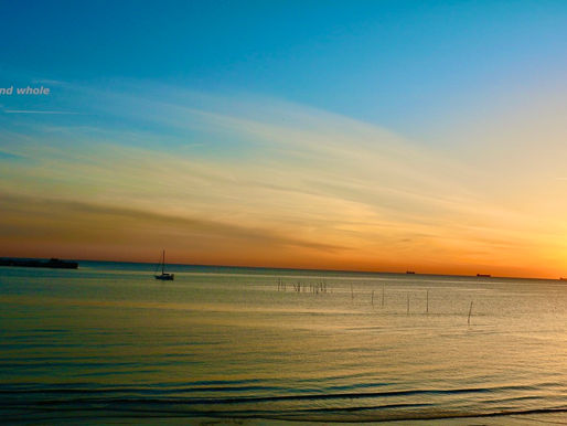 Guided Reflection- The Great Pause
