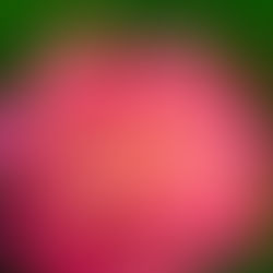 Access Awareness- Awareness Practice