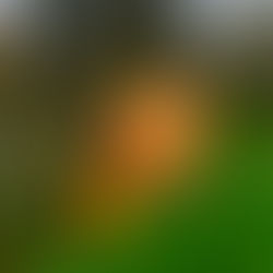 Mindfulness in Action- Awareness Practice