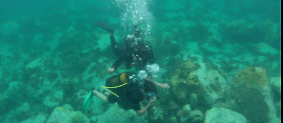 Des moniteurs compétants Espace Plongée Martinique
