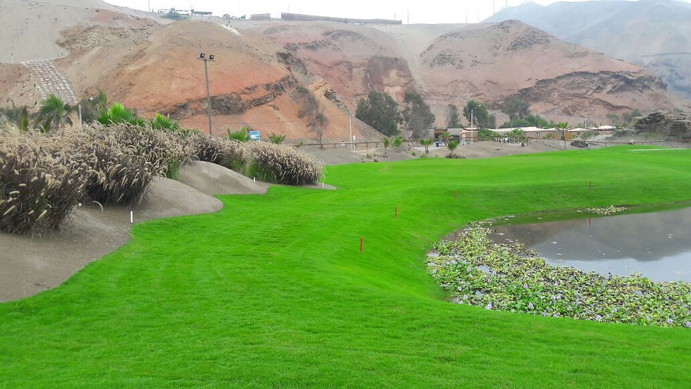 Obra Club Regatas SA -Driving Range
