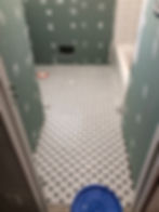 IMG_4563.jpeg