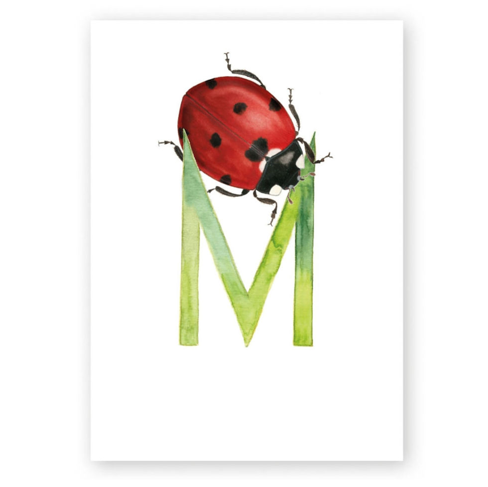Miniaturbild: ABC - Karten - Set