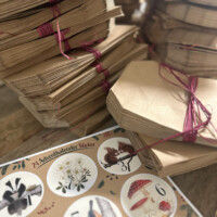 Miniaturbild: Adventskalender - Set "Naturweihnacht"