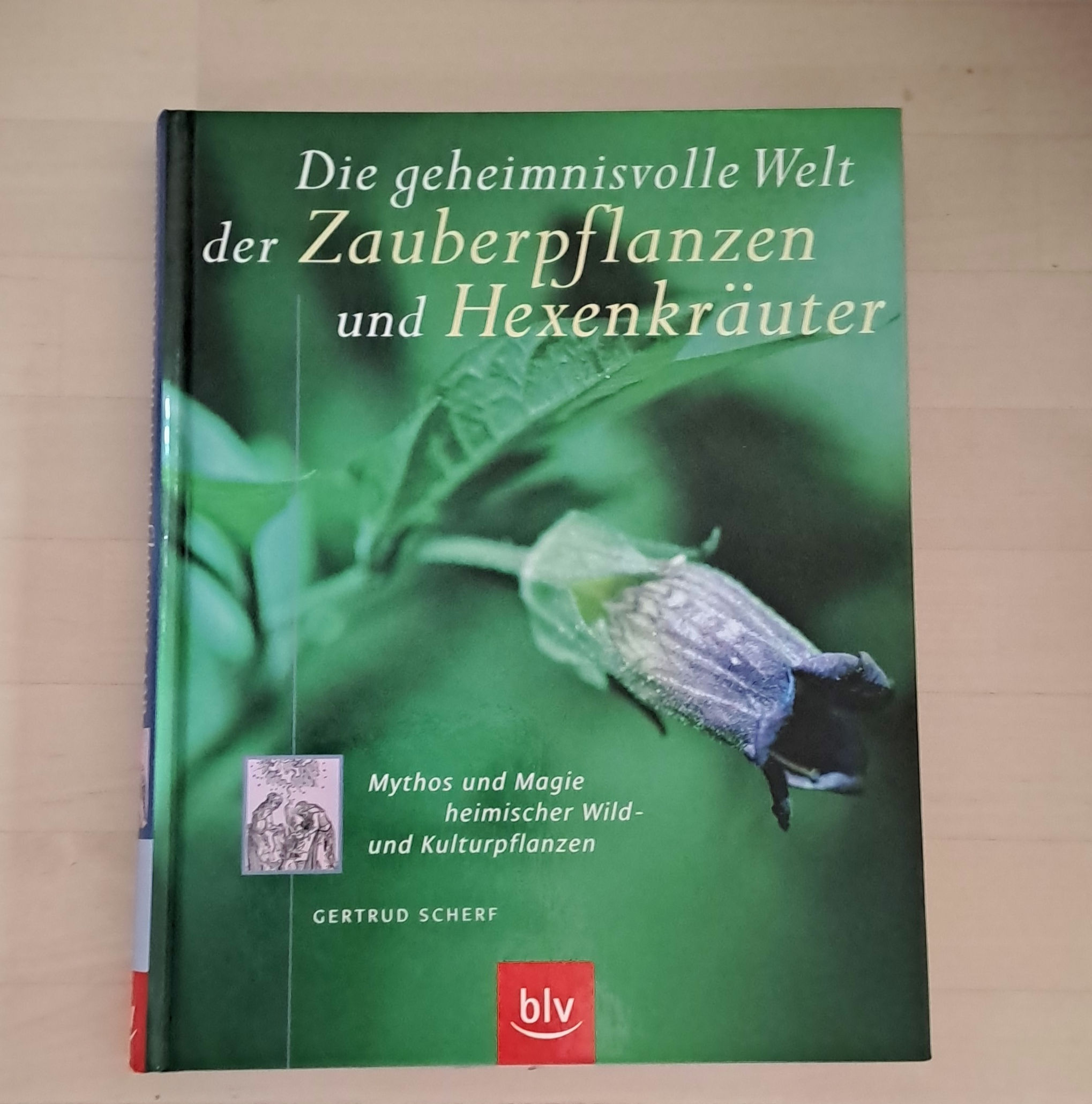 Die geheimnisvolle Welt der Zauberpflanzen und Hexenkräuter