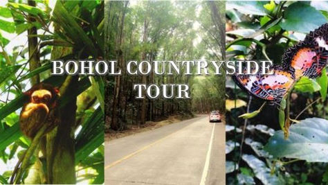 Best of Bohol 1: Countryside Tour