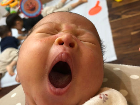 ミルクも始まりました^ - ^