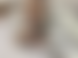 パエリア、オムライス