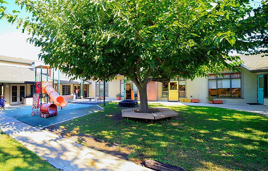 Playground%204_edited.jpg