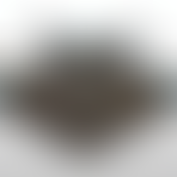 Keunggulan Ekspor Impor Ourcargo: Solusi Praktis untuk Bisnis Kamu